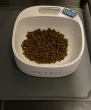 Bowls Dog-Bowl-Feeder Feeding-Safe Pet-Smart-Dogs Petkit Drinking Non-Slip for Anti-Microbial