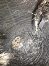 Tinashe belleza Bob corto peluca con flequillo corte Pixie brasileño pelucas de cabello humano Remy máquina barato rojo marrón pelucas para mujeres