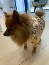 Ropa de abrigo para Perros Bulldog Francés, Ropa de cachorro, Chihuahua, yorkie, abrigo de perrito mascota, chaqueta, perros, mascotas