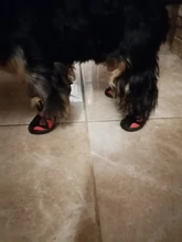 Boots Pet-Shoes Dog Large Waterproof Anti-Skid Small Winter Golden Warm Big 8-Sizes Wear-Resistant