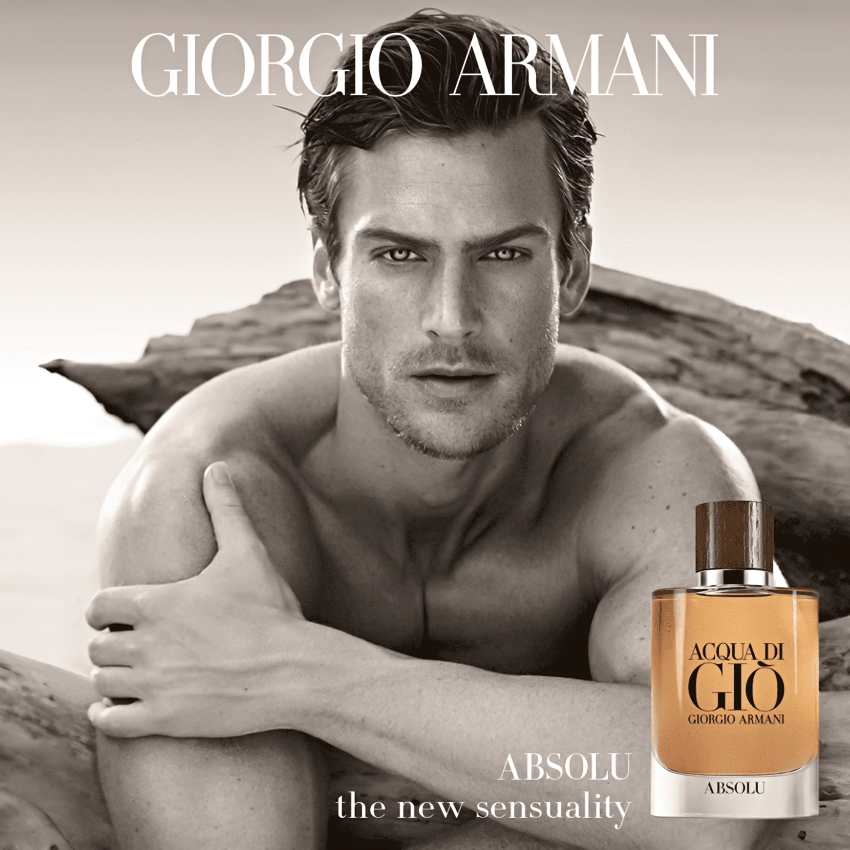 Giorgio Armani Acqua di Gio absolu for men 75 ml perfume water _ -  AliExpress Mobile