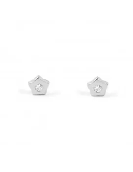 

Silver Earrings big Flower in circon