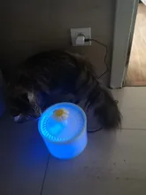 Container Dispenser Water-Level-Display Cats-Drink Dogs Automatic-Water-Feeder Electric