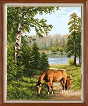 

"Embroidery kit", "floss embroidery kit", "cross stitch", "counted cross", "counted cross stitching", "Tapestry Classic"