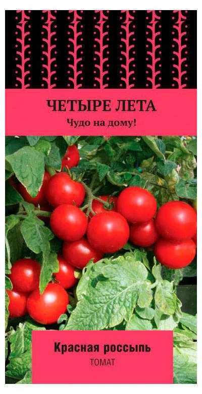 Томат Красная Шапочка Отзывы Фото Урожайность