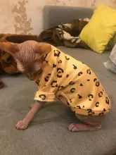 Cartoon Cat Hoodie Sweater Autumn Winter Pet Cat Clothes for Cats Katten Kedi Pullovers