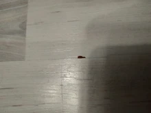 Kit de reparación de laminado, sistema de cera, encimera de suelo, carcasa resistente, Chips, juego de herramientas de reparación de arañazos, herramienta manual