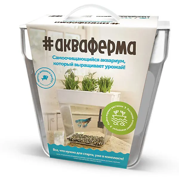 Акваферма Назад к истокам