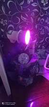 Growth-Light Flower Uv-Lamp Seedling Hydroponic Phyto Led Plant GU10 MR16 Full-Spectrum