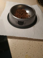 Cat-Bowls Travel Puppy Food-Dish Car-Face-Feeding-Feeder Cats Stainless-Steel Outdoor