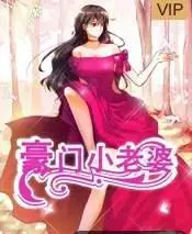 豪门小老婆 第1季的海报