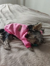 Clothing Sweater Pet-Outfit Small Dogs Classic Soft Winter For Dog Chihuahua Ropa Perro