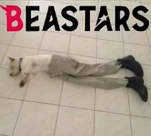 Malla de nailon para pelo de mujer, redecilla negra para la fabricación de pelucas, malla elástica, accesorios para pelucas, 1 unidad