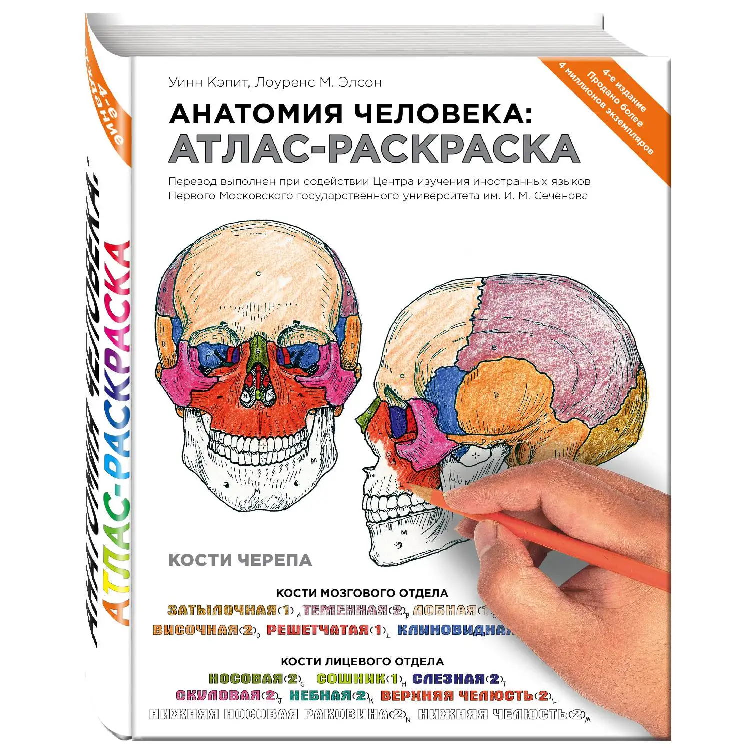 Анатомия человека: атлас-раскраска (Лоуренс М. Элсон, Уинн Кэпит, 978-5-699-71506-0, 376 стр., 12+)