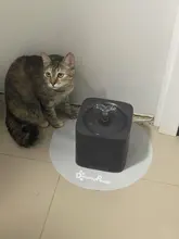 2L Automatic Pet Cat Water Fountain Filter Dispenser Feeder Smart Drinker For Cats Water