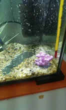 Coral-Decoration Lanscaping-Ornaments Fish-Tank Artificial-Coral Reef Rock Resin 