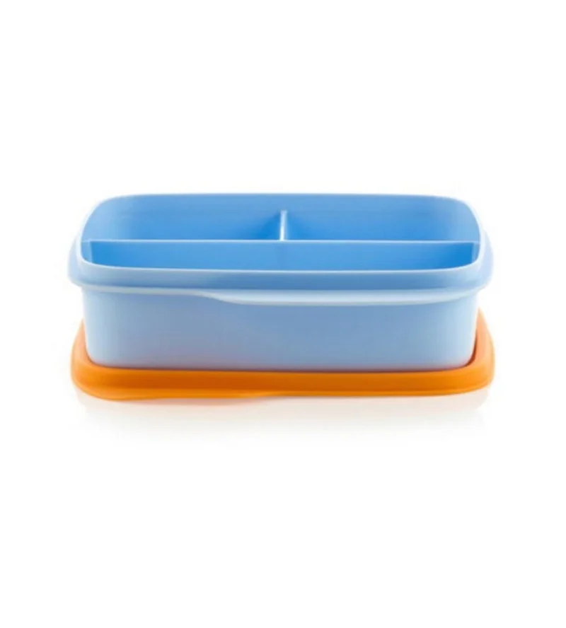 Container with separator for storing and transporting food, snacks