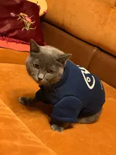 Invierno ropa para gato mascotas ropa de cachorros y perros sudaderas con capucha para pequeño mediano perros gato gatito Kitty trajes gatos abrigos chaquetas trajes