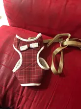 Perro pequeño conjunto de arnés y correa chaleco para gatos mascota Arnés con Bowknot acolchado de malla Pet pistas para pequeño cachorro perros Chihuahua Yorkie