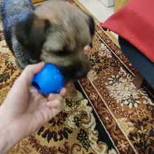 Toy Balls Chew-Toys Tooth-Cleaning-Balls Interactive-Rubber Pet-Dog Food Teeth Cat Gourd