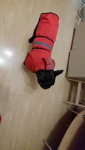 Jumpsuit Hoodies Pet-Coat Rain-Jacket Reflective French-Bulldog-S-2xl Waterproof Medium