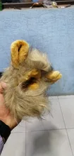 Disfraz de perro o gato Peluca de melena de León, gorro para gato, perro, ropa de Halloween y Navidad, vestido de lujo con orejas, ropa para mascotas