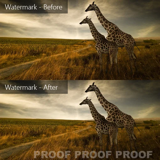 AfterShot Pro 3 ML ESD ESDASP3MLPC фоторедактор, редактор фотографий от Corel