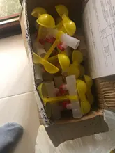 Chicken-Tools Drinking-Cup Water-Bowls Quail Pheasant 40