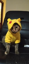 Pajamas Hoodie Cat-Costume Dog-Coat Puppy Cosplay SUPREPET Winter Cute Autumn Cartoon