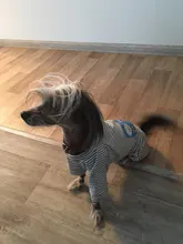 Dogs-Pajamas Clothing Shirt Puppy-Jumpsuit Pomeranian Chihuahua Dog-Coat Pet-Dogs Small