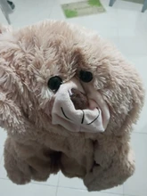 Funda de sofá para bebés y niños, asiento de oso de dibujos animados, sin relleno, cubierta para niños pequeños