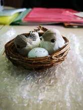 Cage-Set Nest Bird Gardening-Decoration Desktop-Ornament 9cm Simulation Photography-Props