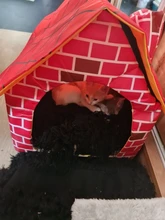 Tent Dog-House Small Dog-Accessory Cat-Kennel Foldable Travel Pet-Bed Footprint Delicate-Design