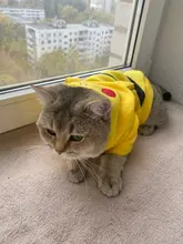 Pajamas Hoodie Cat-Costume Dog-Coat Puppy Cosplay SUPREPET Winter Cute Autumn Cartoon