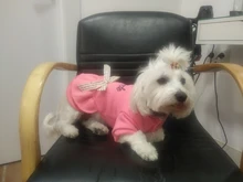 Coat Dress Teddy Poodle-Clothes Puppy Small-Pet Dog Winter Autumn with Letter Bowknot