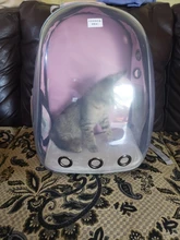 Bolsas de transporte para mascotas, mochila para perro y gato, espacio de viaje, jaula para transporte de mascotas, Transportín para gatos