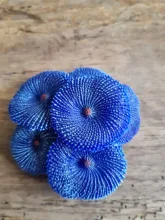 Artificial Resin Coral Sea Plant Ornament Silicone Nontoxic Blue Artificial Coral Plant