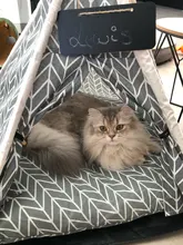 Pet-Tent House Kennels Teepee Puppy-Cat Cave Kitten Outdoor Portable Linen with Mat