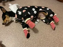 Botas impermeables para perros, zapatos para perros, antideslizantes, para cachorro, gato, lluvia, nieve, calzado para perros pequeños, Chihuahua, 4 Uds.