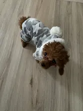 Pijamas de perros para otoño e invierno, Mono para perros pequeños, jerseys Shih Tzu Yorkshire, ropa de lana suave para cachorros y gatos