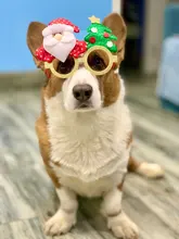Gafas de Navidad de Papá Noel, muñeco de nieve, árbol con copos de nieve, alce, perro, accesorios de fiesta de Navidad, decoración de feliz año nuevo para el hogar, 2021