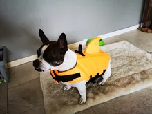 Chaleco salvavidas para perro, chaqueta salvavidas, ropa de baño para perros, traje de baño para mascotas, forma de tiburón