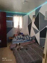 Tiras de luz LED WIFI RGB 5050, funciona con el asistente de Google Alexa, aplicación de teléfono, Color, 24V, TV, ordenador, dormitorio, Luces Led con Bluetooth