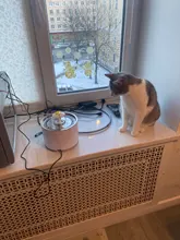 DRINK-FILTER Cat-Feeder Cat-Fountain Pet-Drinking-Water-Dispenser Cats Automatic LED