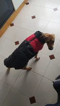 Ropas impermeables para perro para perros pequeños de invierno cálido abrigo para perros ropa de perro grande cachorro Pug chaleco Bulldog francés chaqueta para Chihuahua
