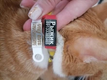 Etiquetas de identificación para mascotas, placa de acero inoxidable personalizada para perros pequeños y gatos, grabado personalizado, accesorios para Collar