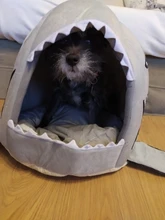 Dog House Shark Washable House Pet Bed Shark Dog Bed Cat Beds & Mats House Sleeping Sofa