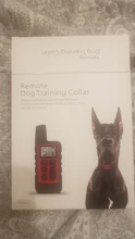 Dog-Training-Collar Shock Pet Electric Vibration-Sound Remote-Control Rechargeable 500m