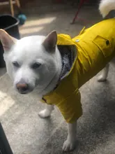 Abrigo para perros, chaqueta impermeable para perros pequeños, medianos y grandes, impermeable, sudaderas deportivas para perros, ropa de moda para mascotas