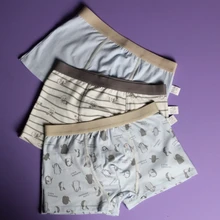 Ropa interior de algodón para niños, pantalones cortos de dibujos animados, bragas para bebés, bóxers a rayas, HH, 3 piezas